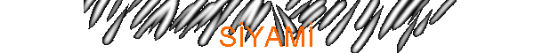 SYAM