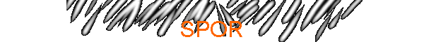 SPOR