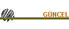 GNCEL