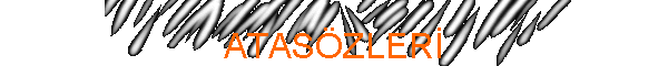 ATASZLER